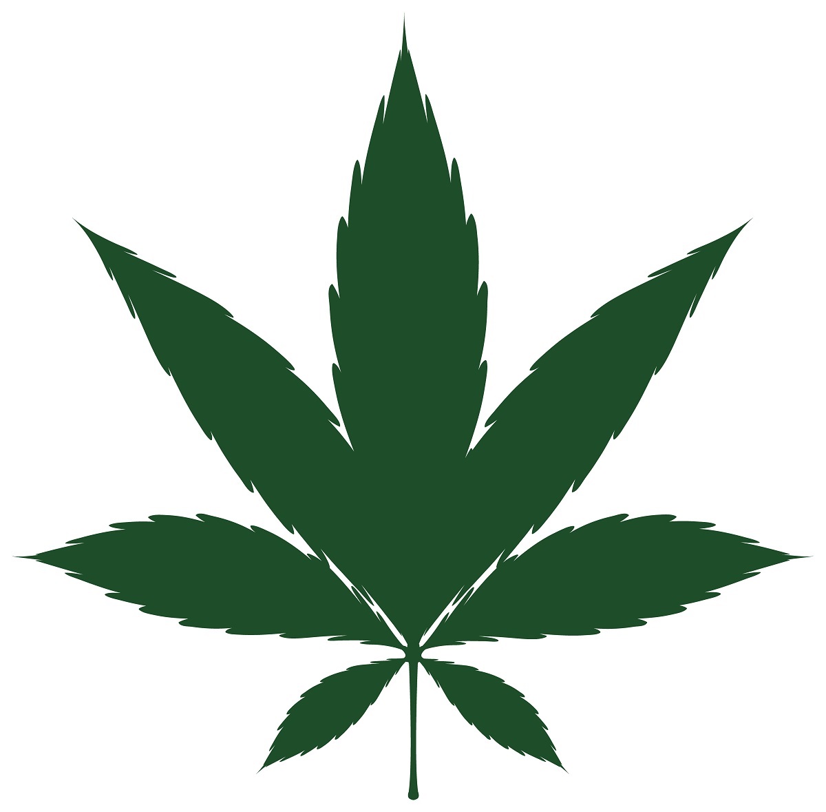 What Can we Learn from the Marijuana Industry’s Digital Marketing – a Discussion